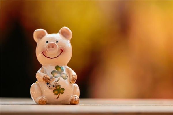 屬相豬的男人出生什麼年份_十二生肖