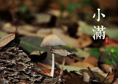 小滿節氣的由來