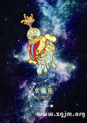 寶瓶座離職的理由_十二星座