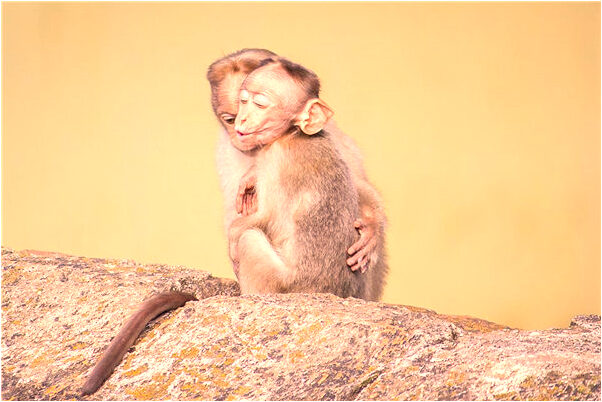 夢到了下雨後發大水什麼寓意_周公解夢官網