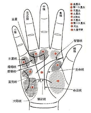 手相看你的富貴程度