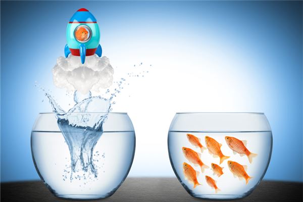 夢見魚缸漏水_周公解夢
