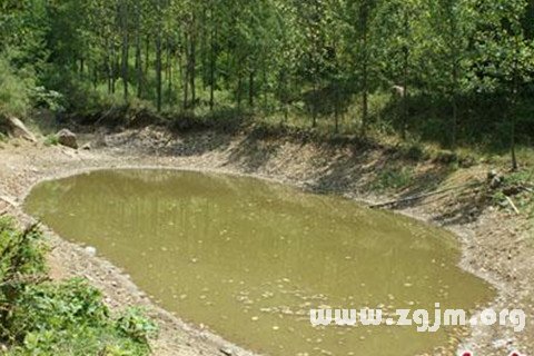 夢見水坑