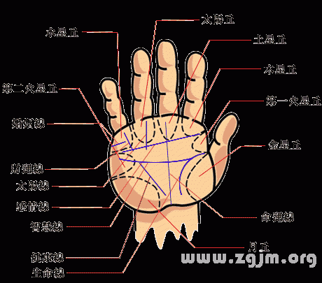 手相中手掌紋