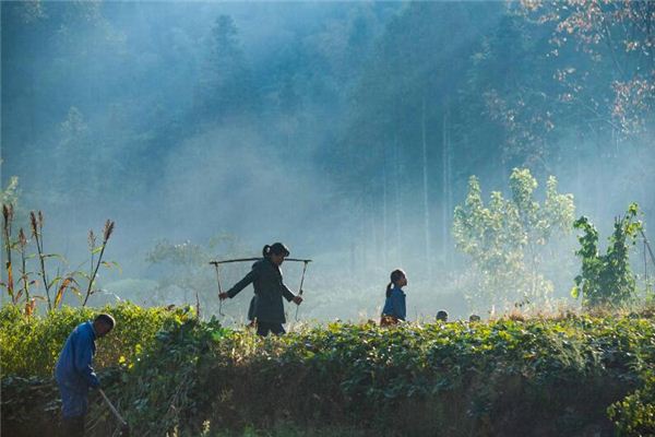 女人夢見幫別人幹活_周公解夢