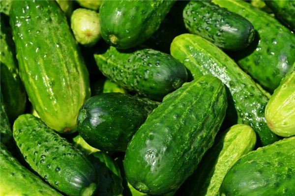 夢見黃瓜是胎夢嗎_周公解夢