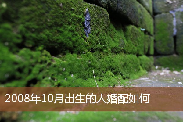 2008年10月出生的人婚配如何_十二生肖