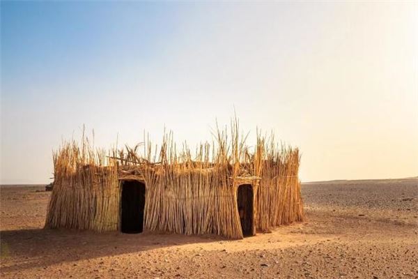 女人夢見好多乾稻草_周公解夢