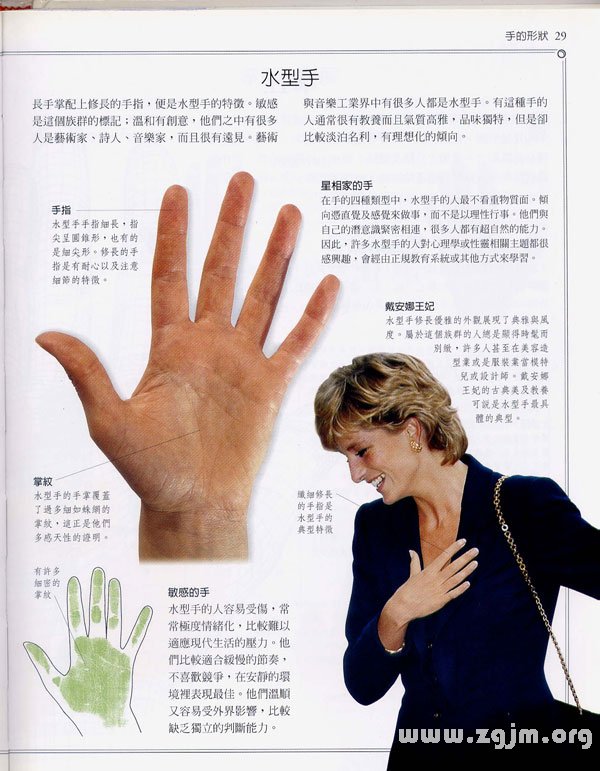 《手相學習百科》：手的形狀