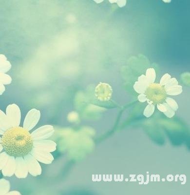 12星座職場高手排名_十二星座