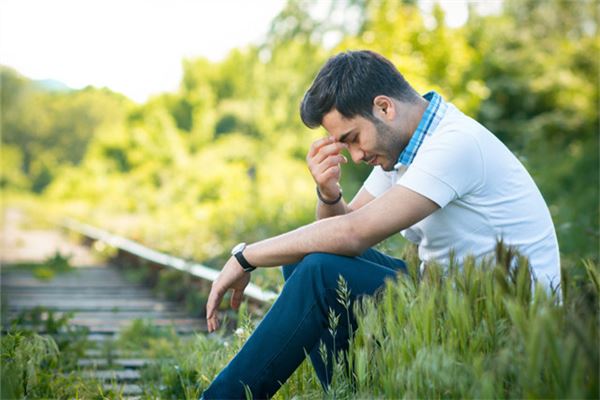 81年雞2021年運勢好嗎_十二生肖