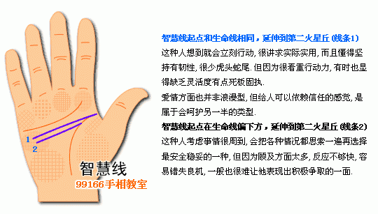 手相圖解大全：5、智慧線看個性_看相大全