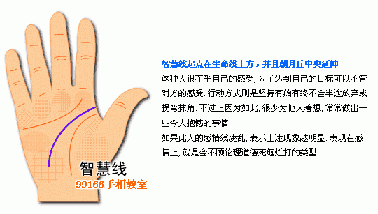 手相圖解大全：5、智慧線看個性_看相大全