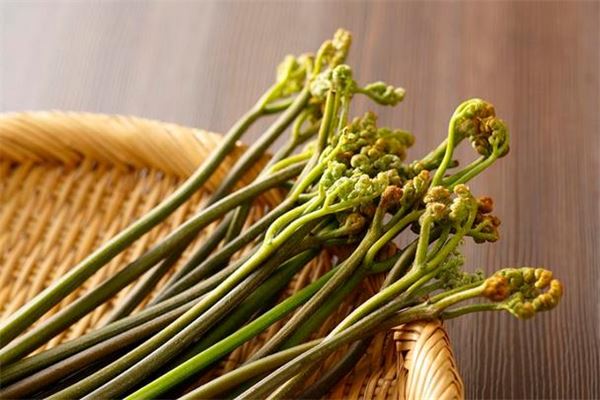 夢見蕨菜是什麼意思_周公解夢