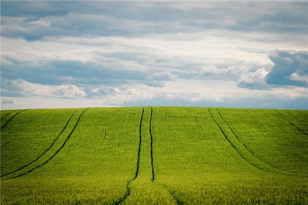 夢到了地坪有什麼寓意嗎？_周公解夢