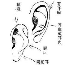 女人相學——命運相