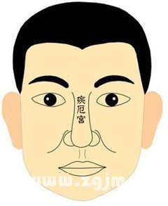 鼻樑有青筋圖解