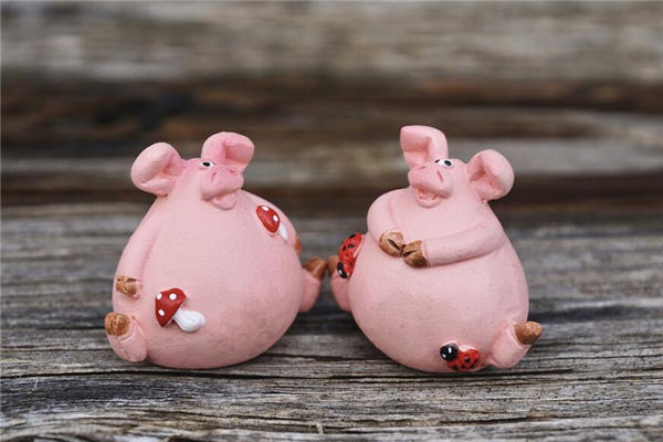 豬屬相的人性格特徵_十二生肖