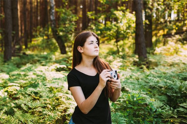 秋天的生肖雞什麼性格_十二生肖
