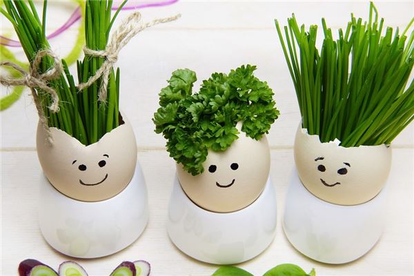 夢見小蔥是什麼意思_周公解夢