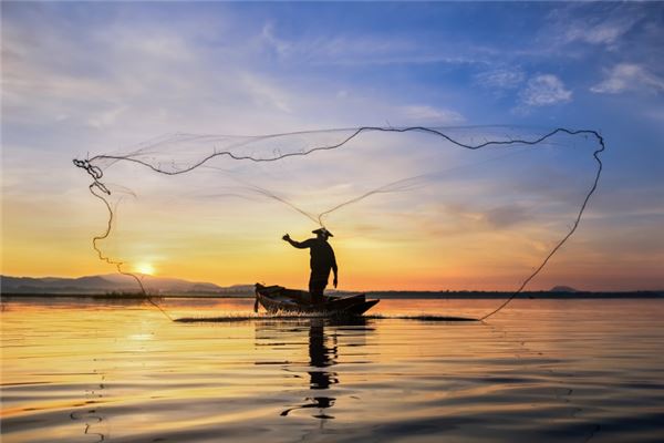 夢見網魚是什麼意思_周公解夢