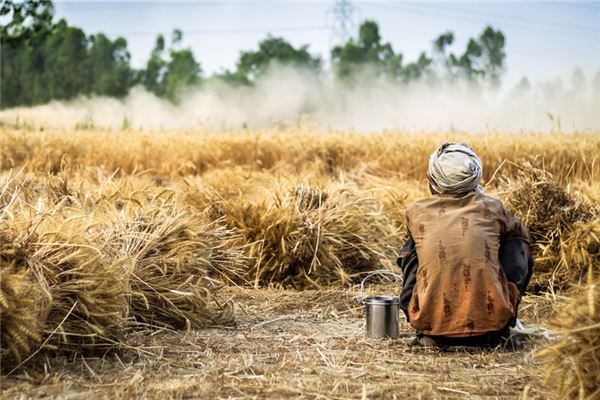 夢到幫人幹活預兆了什麼嗎_周公解夢