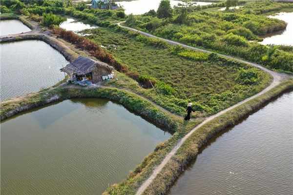 夢到乾塘預兆了什麼嗎_周公解夢