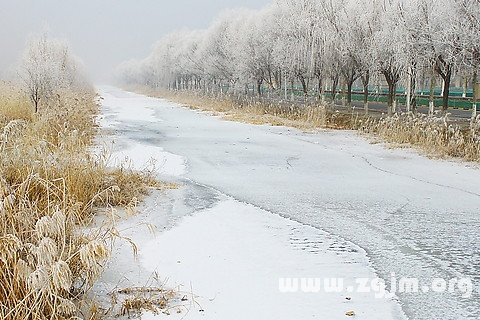 夢見河水結冰