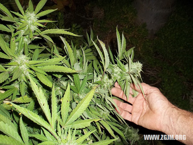 夢見房子進水_周公解夢夢到房子進水是什麼意思_做夢夢見房子進水好不好_周公解夢官網
