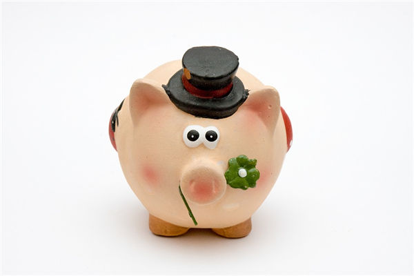 2007年7月出生屬豬女人情感如何_十二生肖