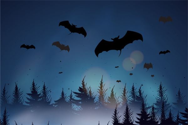 夢見死掉的蝙蝠_周公解夢