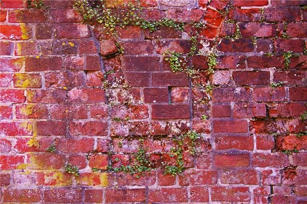 夢見從牆上掉下來意味什麼_周公解夢