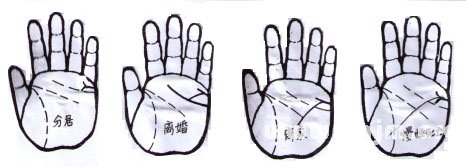 手紋學：婚姻線