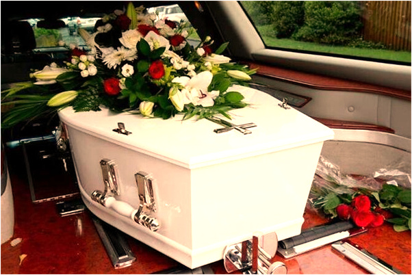 夢到被貓妖追殺是什麼預兆？_周公解夢官網
