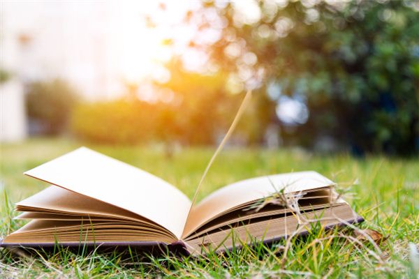 夢見書是什麼意思_周公解夢