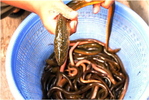 夢到了打群架被人砍會有什麼預兆_周公解夢官網