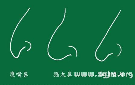 峰生水起面相學：第11課 鼻子看相_看相大全