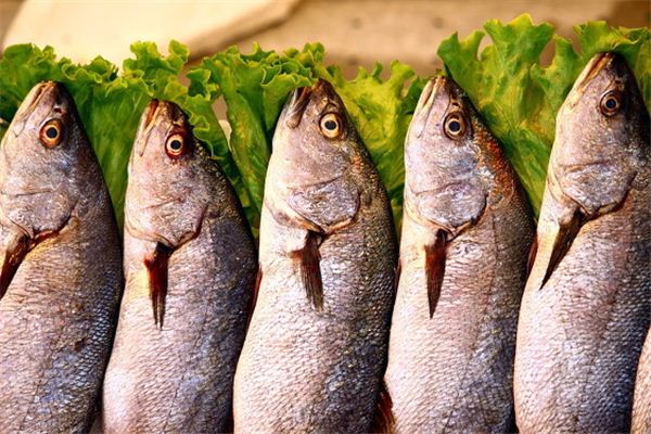 夢見凍魚是什麼意思_周公解夢