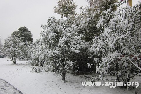 夢見下雪 下大雪