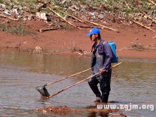 夢見漁網捕魚