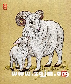 2003年屬羊的人2016年運程_生肖運勢