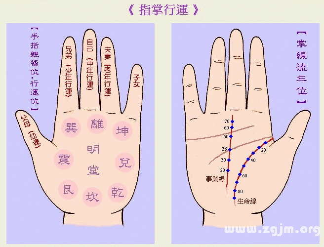 成濤掌相指掌行運