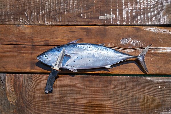 夢見收拾魚及內臟_周公解夢