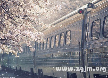 職場含羞草的星座_十二星座