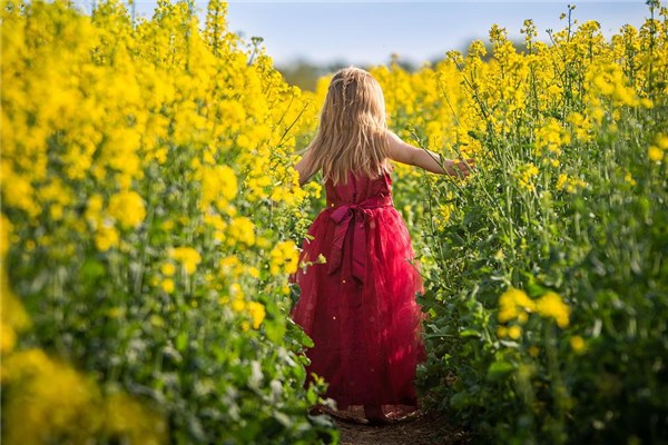 夢到了漂亮的裙子是不是好的徵兆呢_周公解夢