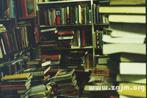 12星座適合開什麼網店_十二星座