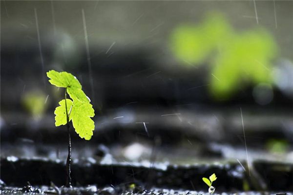 孕婦夢見下雨_周公解夢 孕婦夢見下雨是什麼意思_孕婦夢見下雨好不好_周公解夢官網