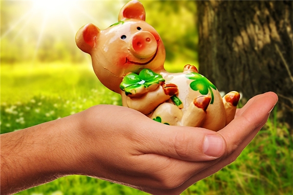 夢到豬吃白菜心啥意思_周公解夢