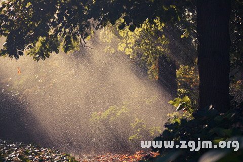 夢見太陽在雨中照耀