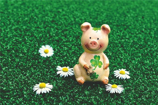 2021年屬豬歲數表_十二生肖